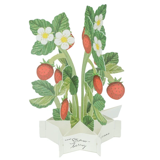 Pop-up 360 Mini Blooming Card Strawberry