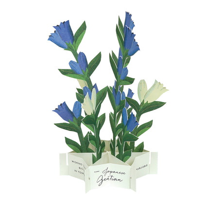 Pop-up 360 Blooming Card Gentian