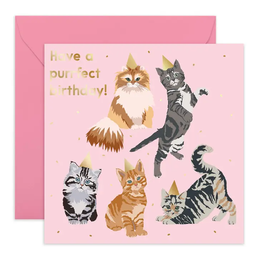 Have A Purrfect Birthday Card