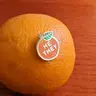 @172 Pronoun Orange Pin - He / They