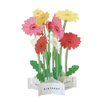 Pop-up 360 Blooming Card Gerbera
