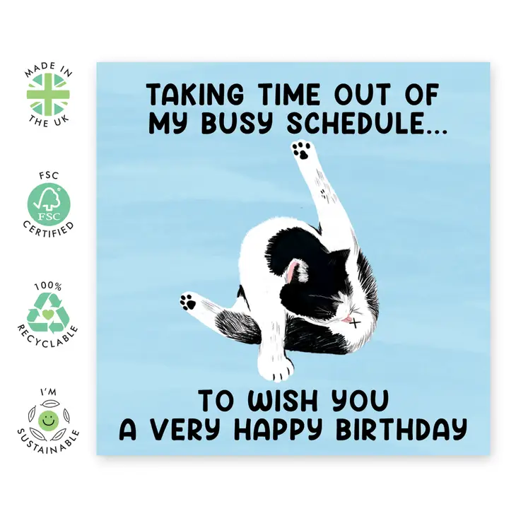 Busy Cat Funny Birthday Card