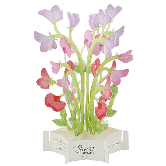 Pop-up 360 Blooming Card Sweet Pea