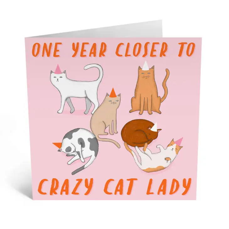 Crazy Cat Lady Funny  Card