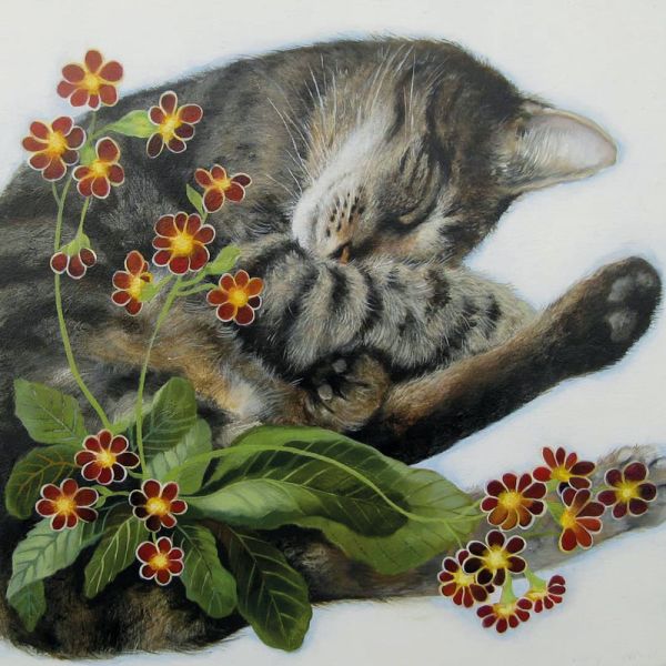 Sleeping In Polyanthus Card
