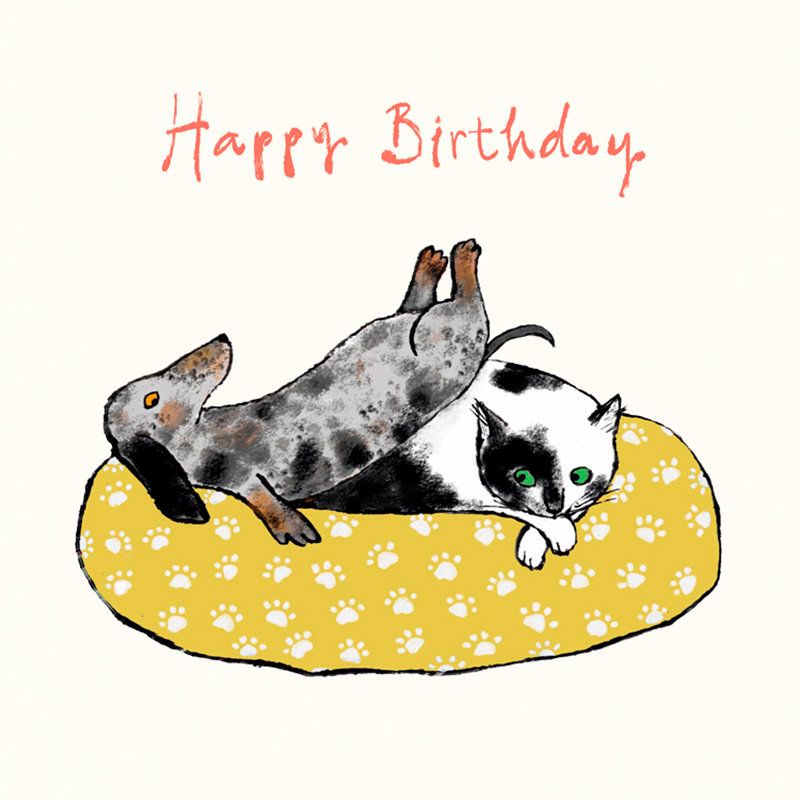Happy Birthday Cat And Dog Card