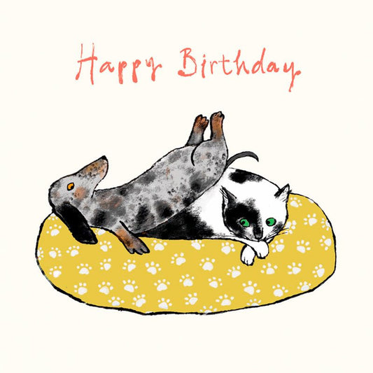 Happy Birthday Cat And Dog Card