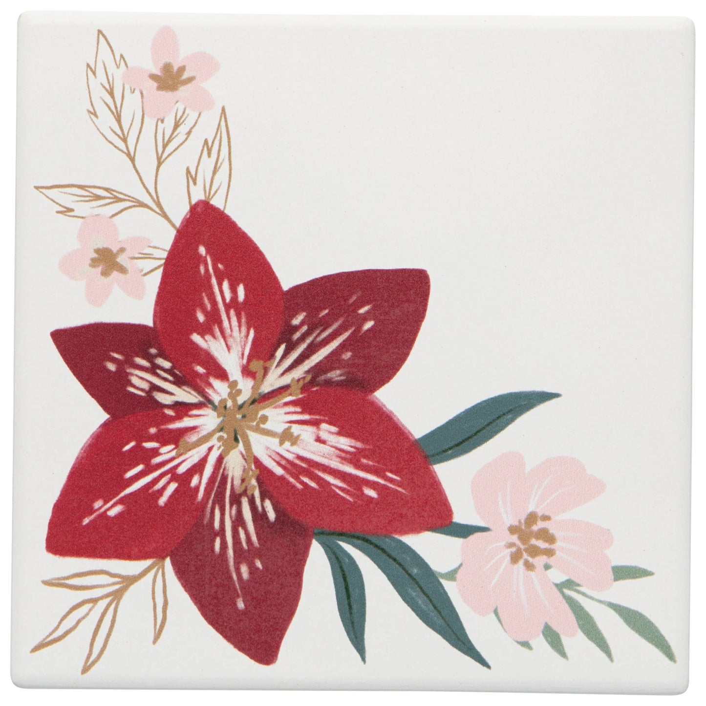 Soak Up Coaster Amaryllis