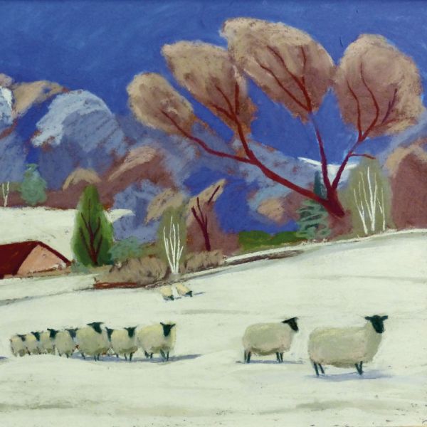 Snowy Sheep, Hope Bowdler Card