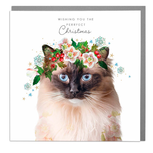 Perrfect Xmas Card