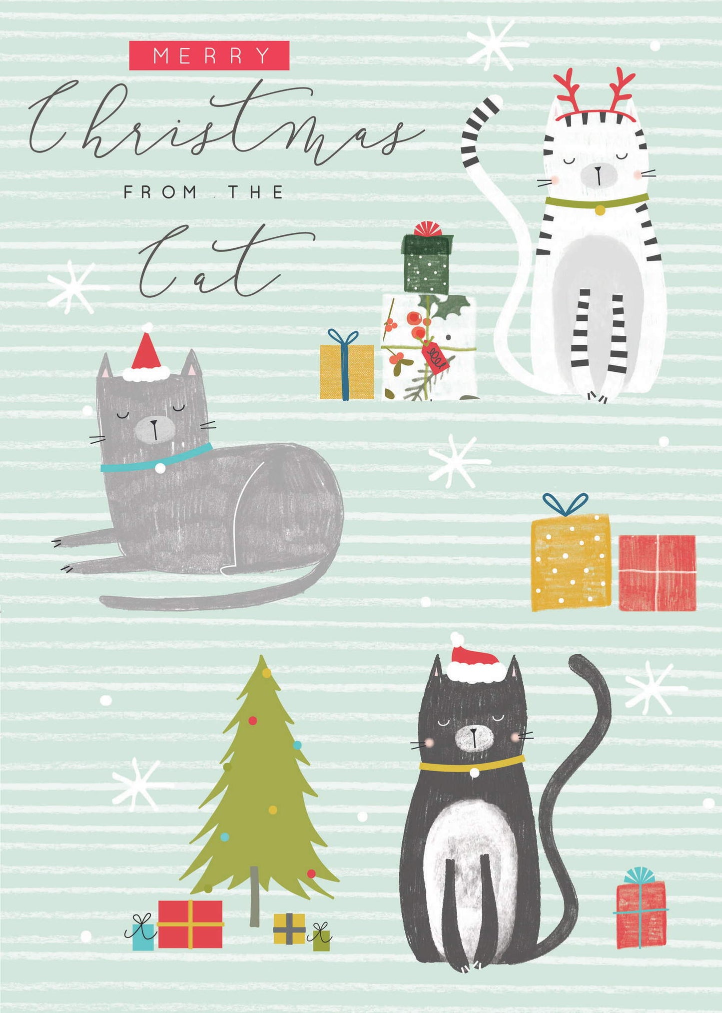 Merry Xmas From The Cat Card