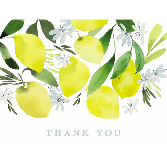 Lemon Blossom Thank You Boxed Notecards