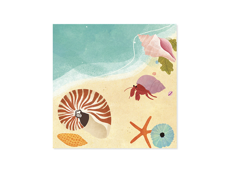 Pop-up Ocean Shells Card