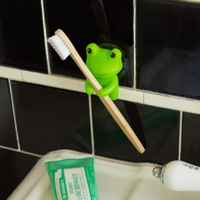 Frog Toothbrush Holder