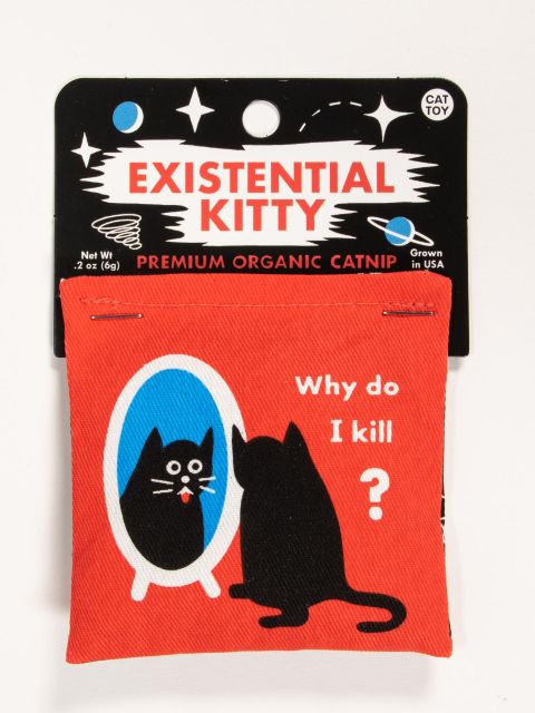 Catnip Toy Existential Kitty