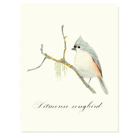 Titmouse Songbird Card