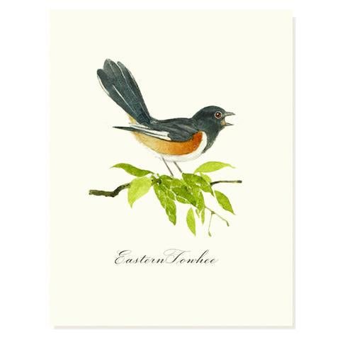 Eastern Towhee Card