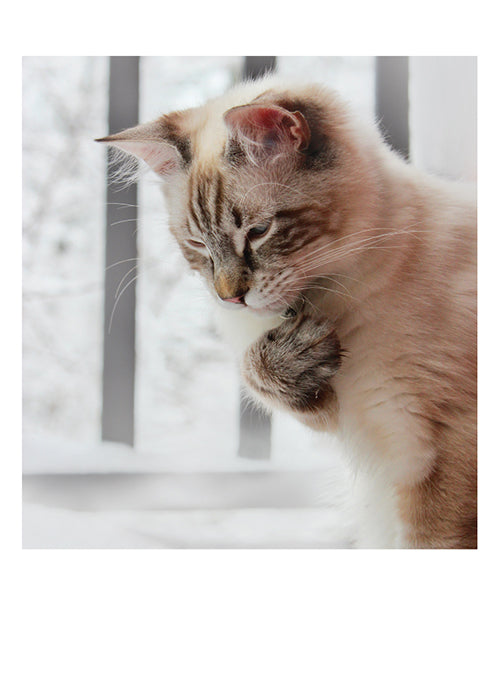 From My Heart To Yours Birthday Card