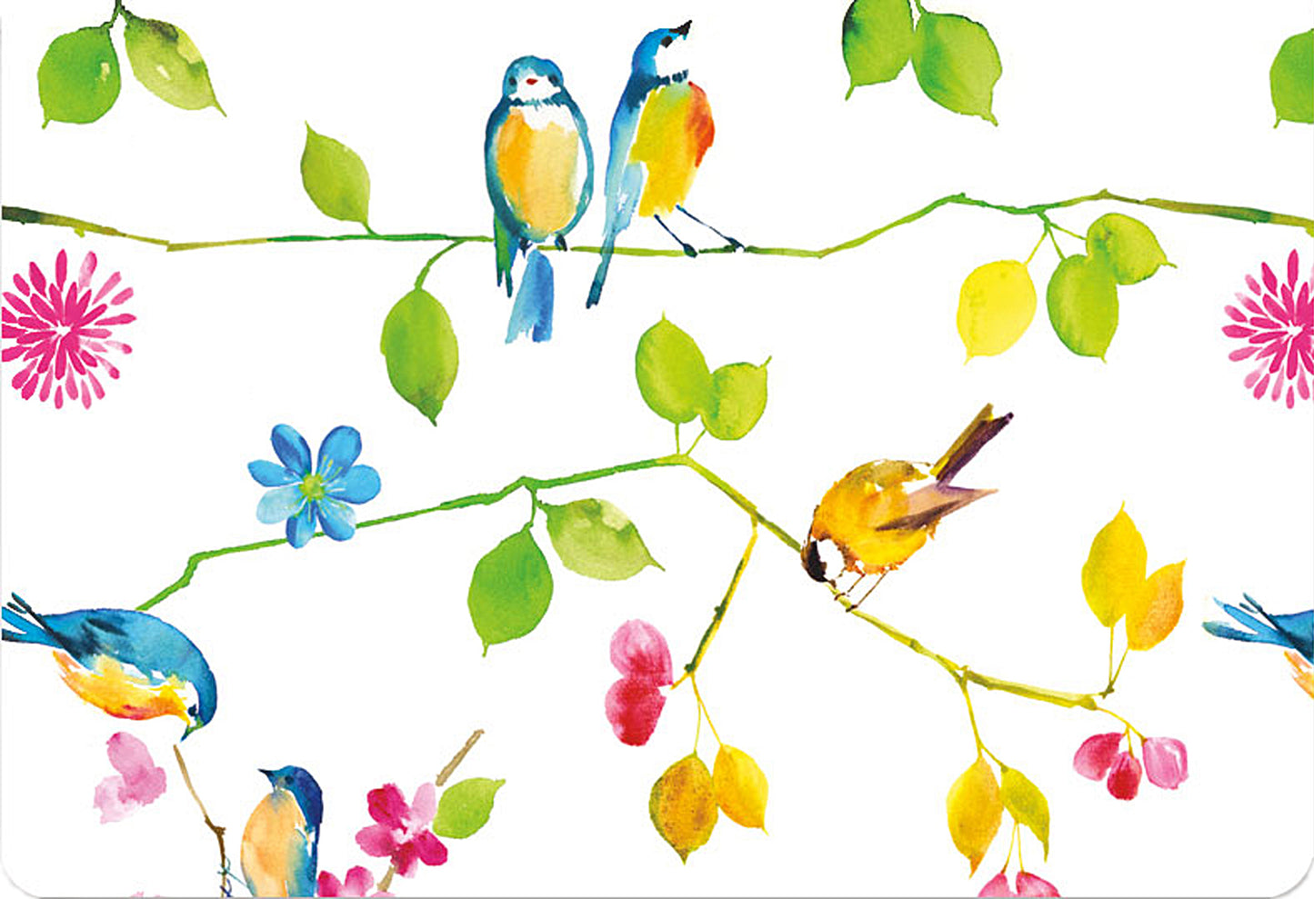 Watercolour Birds Blank Note Cards