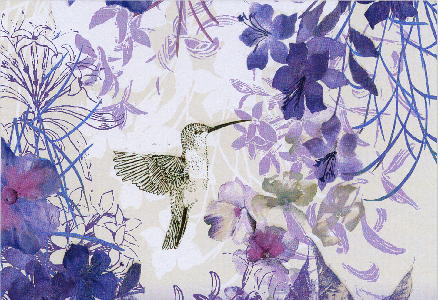 Hummingbird Blank Boxed Notecards