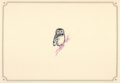 Owl Portrait Blank Boxed Cards