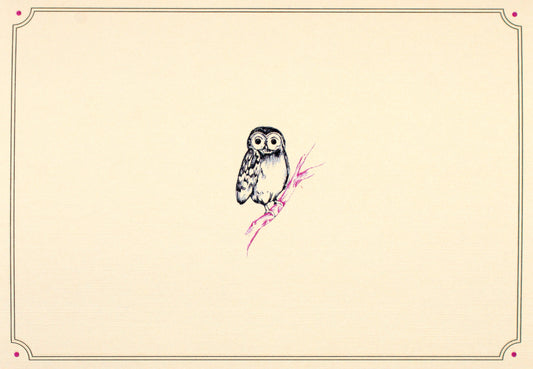 Owl Portrait Blank Boxed Cards