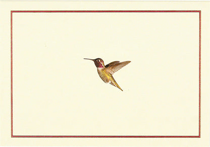 Hummingbird Flight Blank Boxed Cards