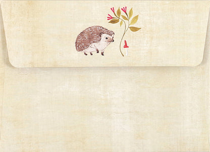 Hedgehog Blank Boxed Cards