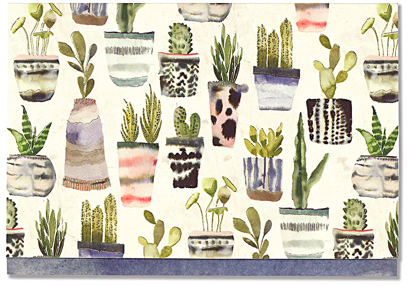 Watercolour Succulent Blank Boxed Cards
