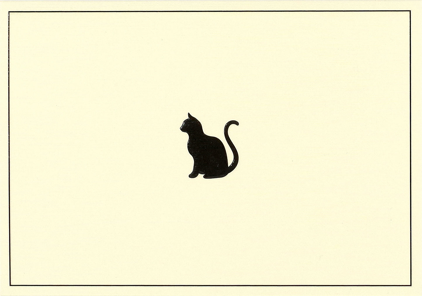 Black Cat Blank Boxed Cards