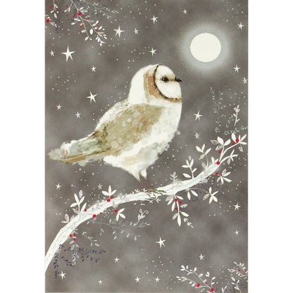 Starry Night Owl Holiday Half Boxed Cards