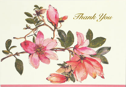 Magnolia Thank You Boxed Cards