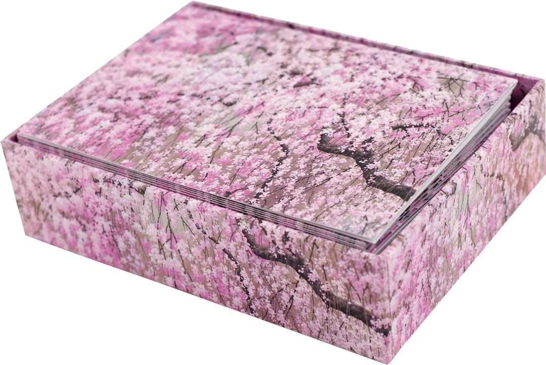 Cherry Blossoms Blank Boxed Cards