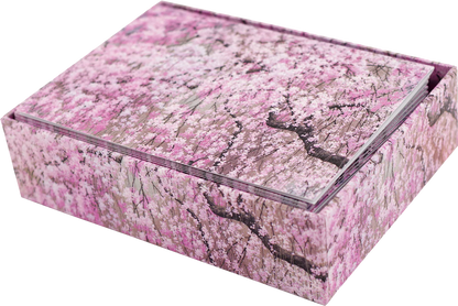 Cherry Blossoms Blank Boxed Cards