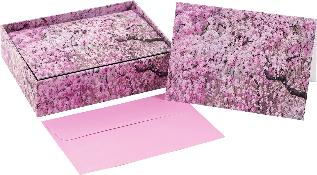 Cherry Blossoms Blank Boxed Cards