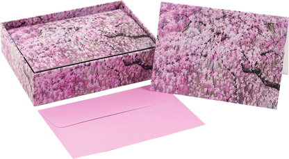 Cherry Blossoms Blank Boxed Cards