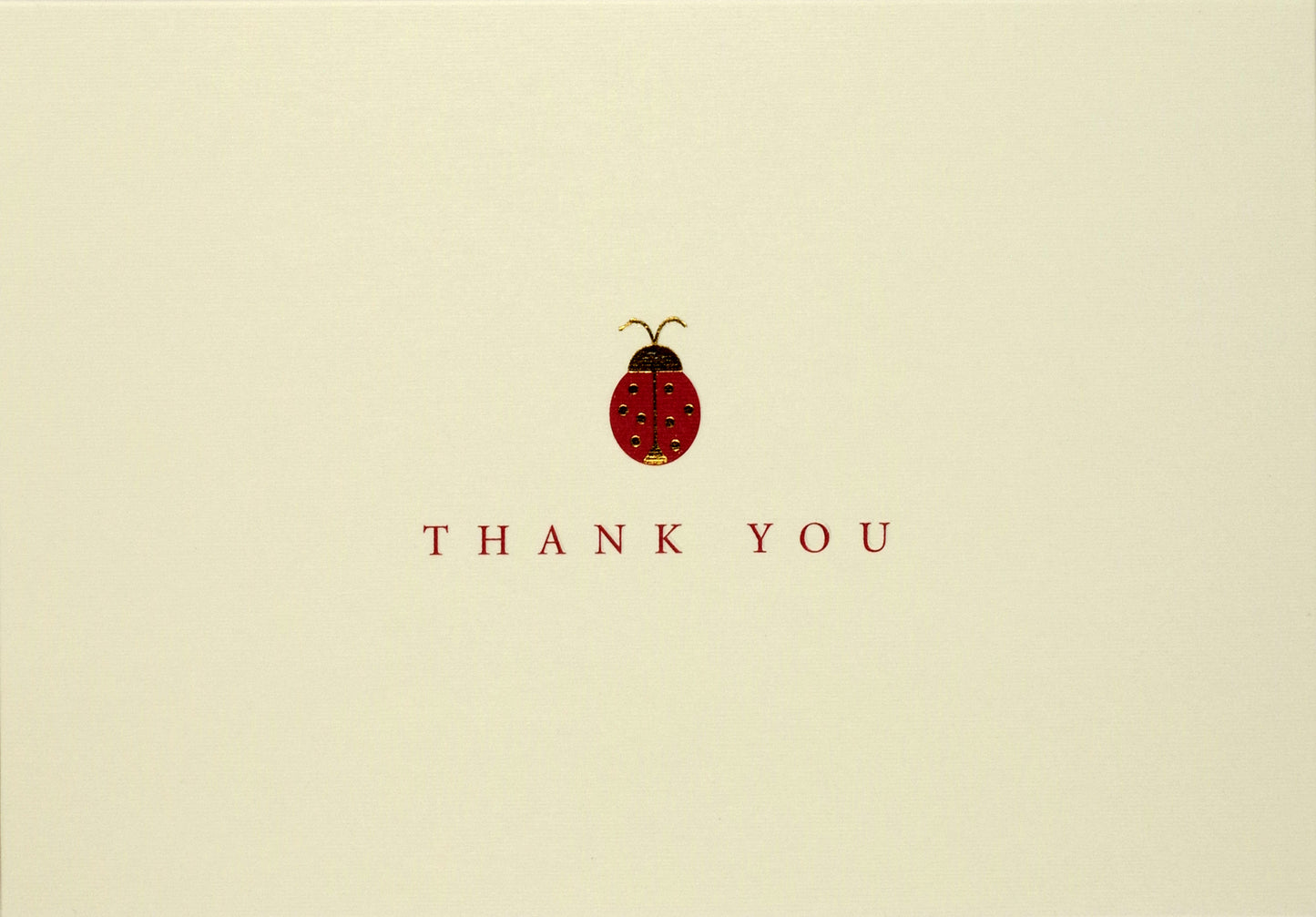 Ladybug Thank You Boxed Cards