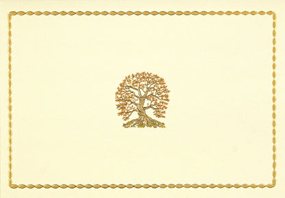 Tree Of Life Blank Boxed Cards
