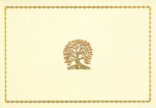 Tree Of Life Blank Boxed Cards