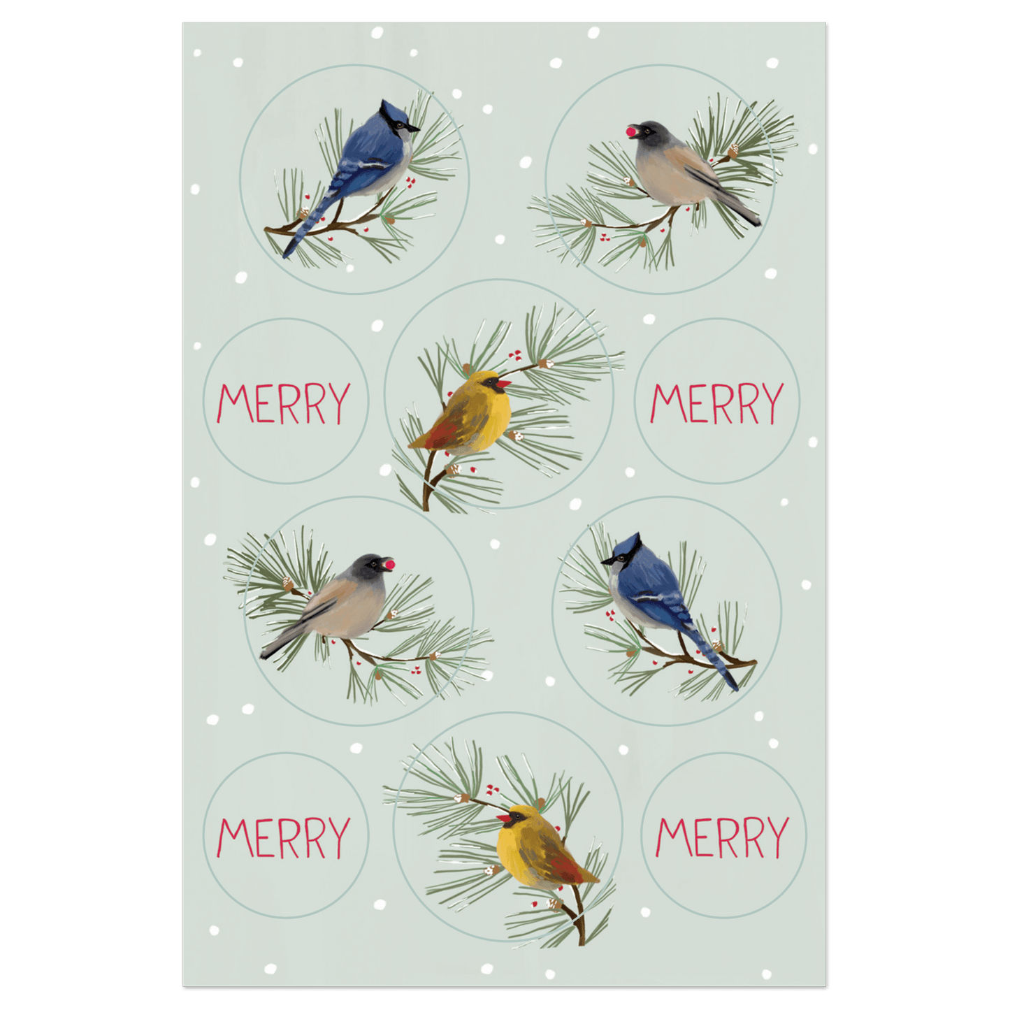 Bird All Around Holiday Boxed Cards