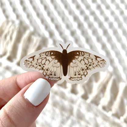 S1 Clear Beige Speckled Moth Sticker