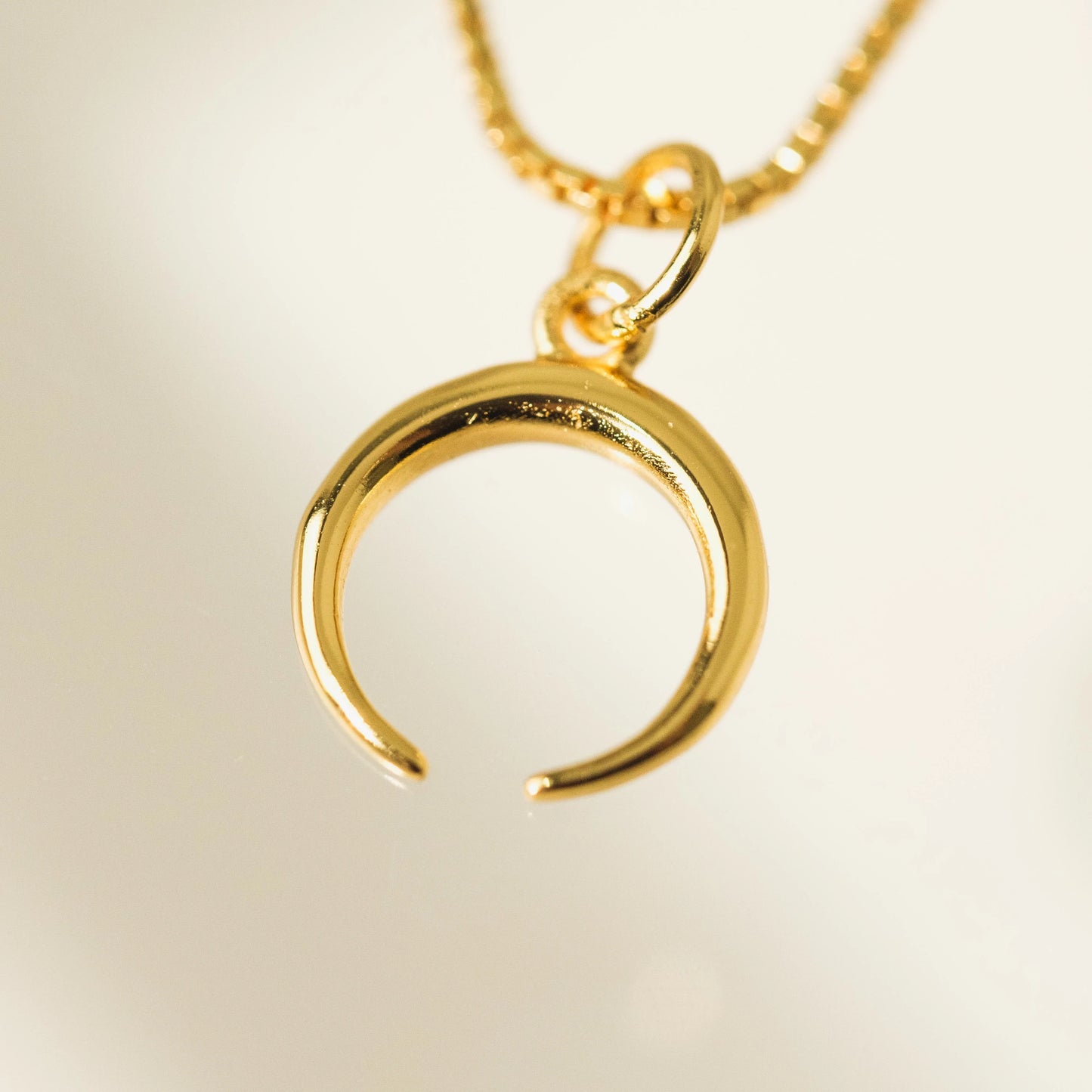 Demi-Fine Horn Charm Necklace Gold