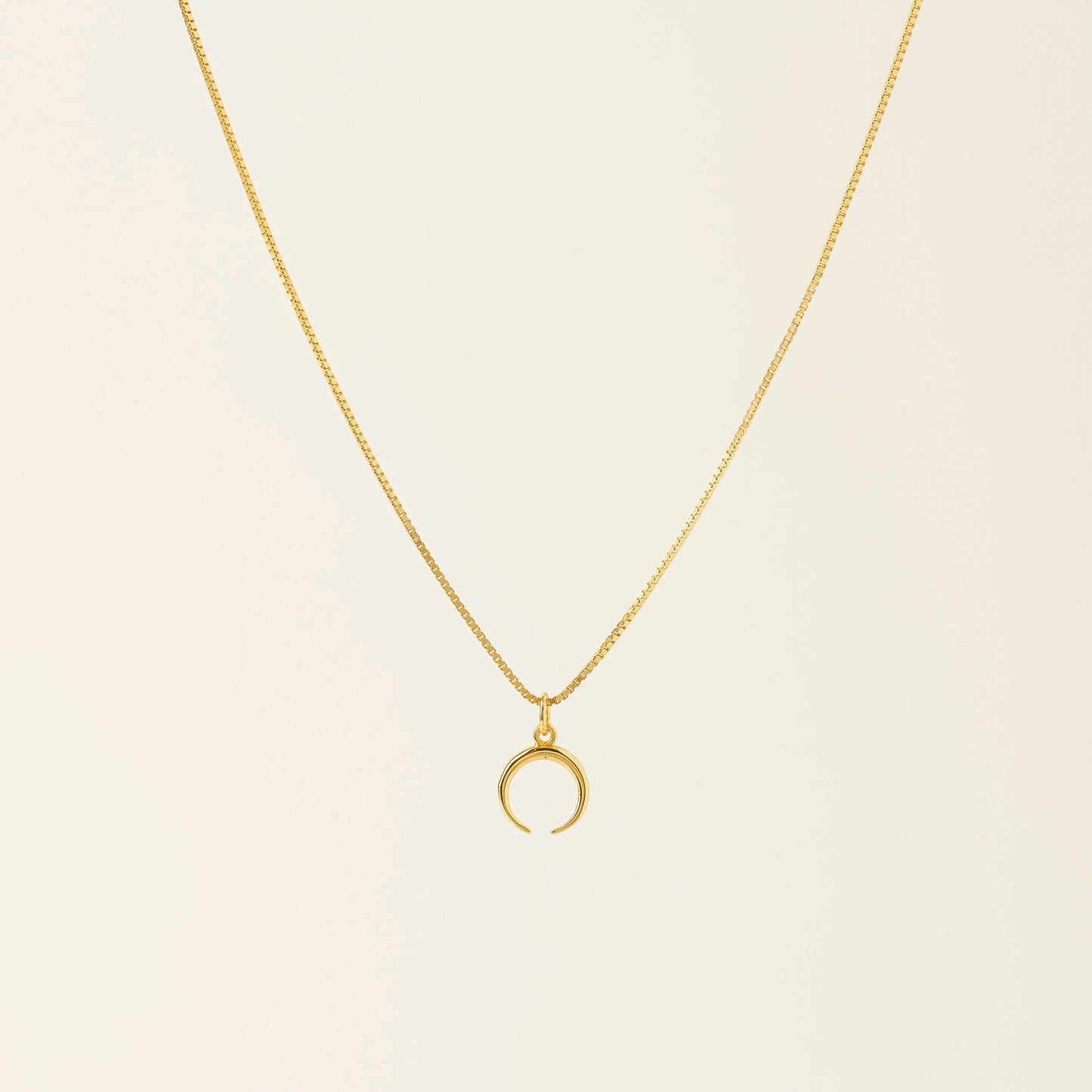 Demi-Fine Horn Charm Necklace Gold