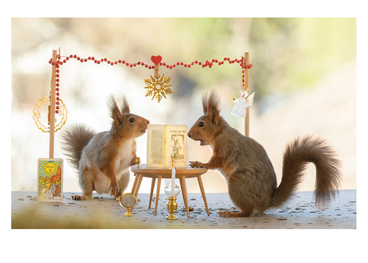 Red Squirrels Reading Card