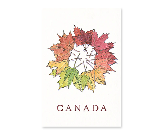 Maple Leaves Postcard