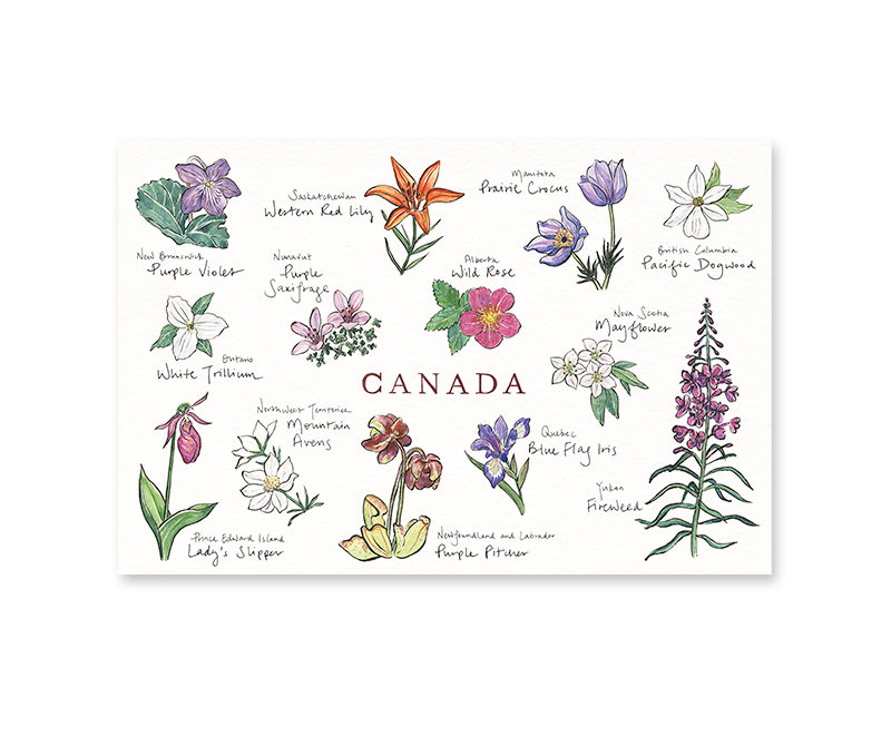 Postcard Canadian Floral Emblems