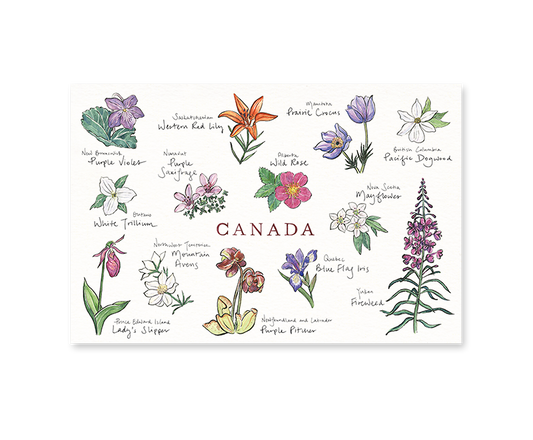Postcard Canadian Floral Emblems
