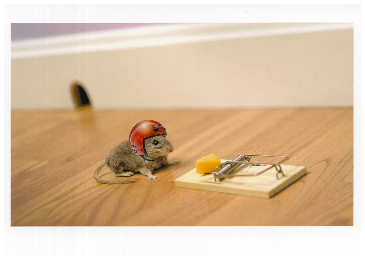 Mouse And Helmet Birthday Card