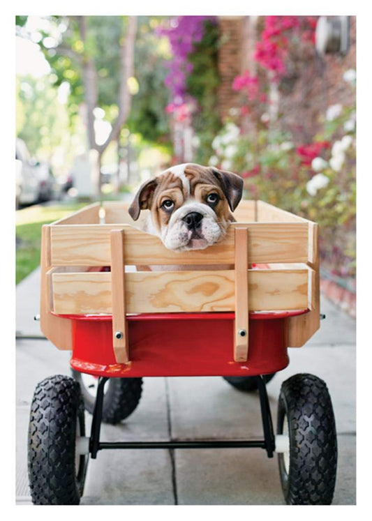 Puppy In Wagon Birthday Card