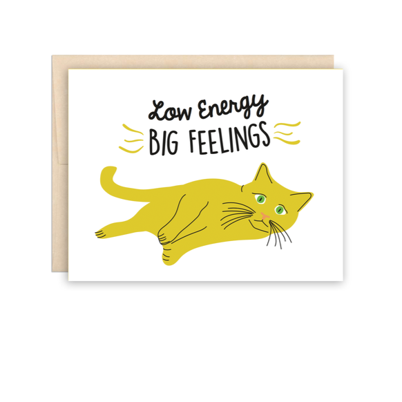 Funny Cat Everyday Friendship Greeting Card